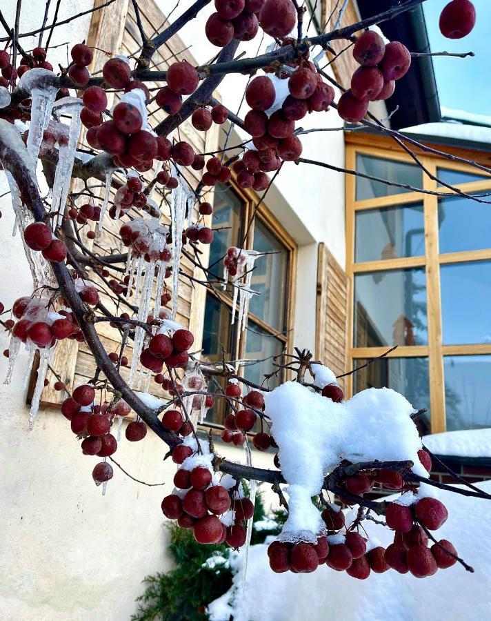 Hotel Stary Mlyn Jeseník المظهر الخارجي الصورة